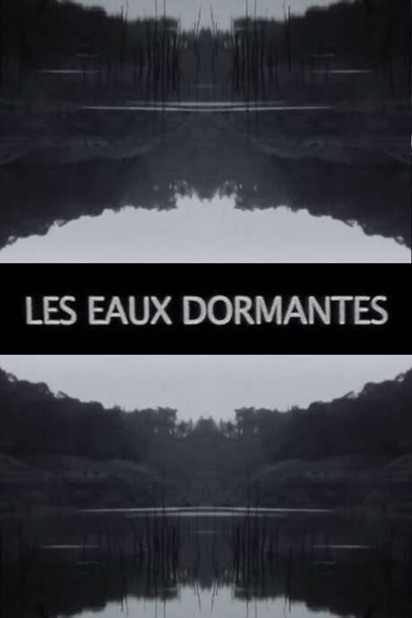 ‎Les Eaux Dormantes (2016) directed by Emmanuel Piton • Reviews, film