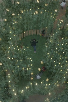 ‎Come to Me, Paradise (2018) directed by Stephanie Comilang • Reviews