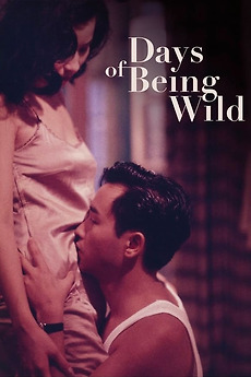 Poster for Days of Being Wild