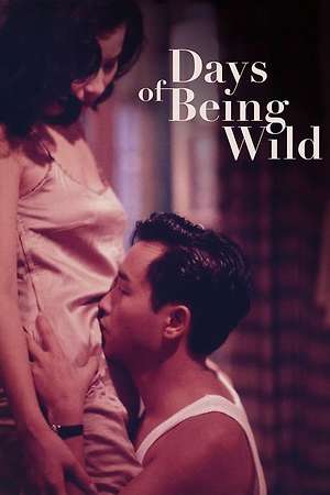 Days of Being Wild (1990)