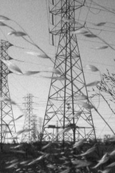 ‎Marginalia (2015) directed by Jerome Hiler • Reviews, film + cast ...