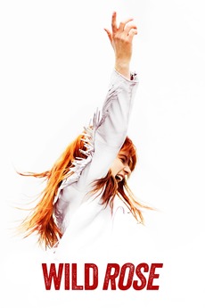 Wild Rose