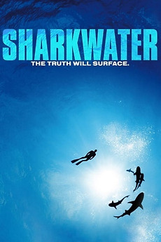 ‎Sharkwater (2006) directed by Rob Stewart • Reviews, film + cast ...