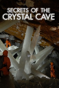 ‎Naica: Secrets Of The Crystal Cave (2008) • Reviews, film + cast