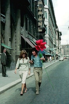 sequenza letterboxd pasolini