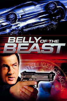 Belly of the Beast (2003) directed by Tony Ching Siu-Tung • Reviews
