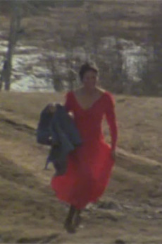 cast of the red dress film The Woman in the Red Dress (2016)
