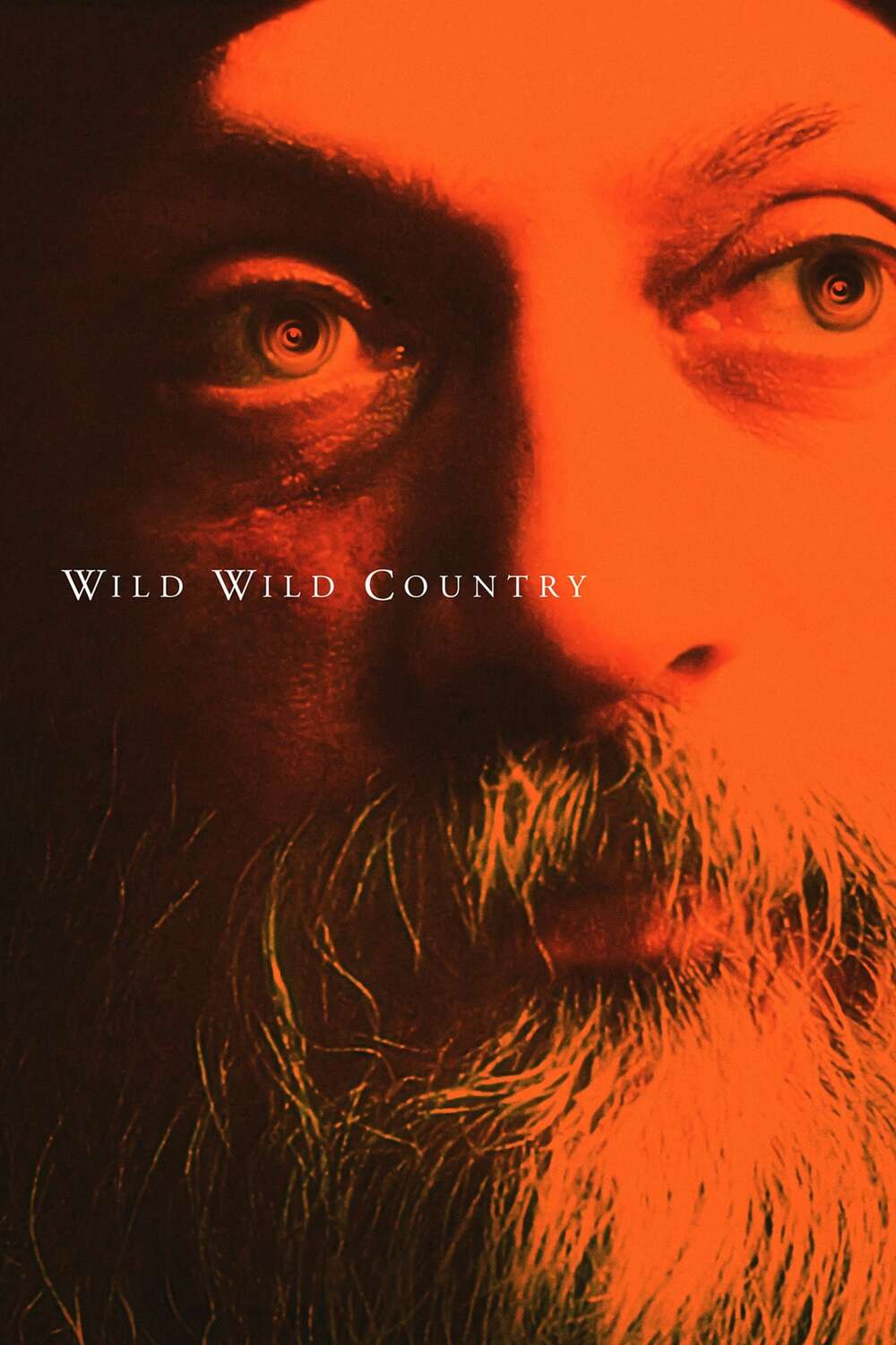 The Wild Wild Country Poster