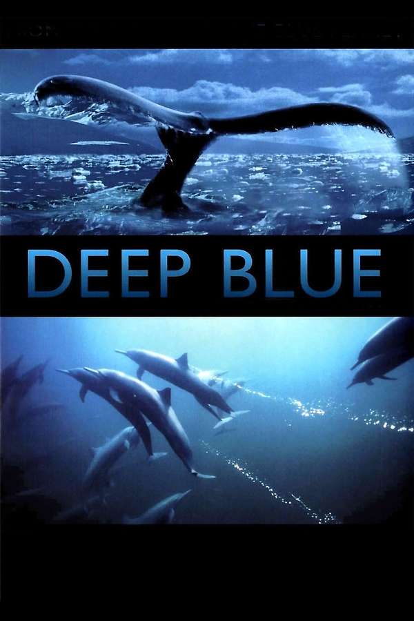 Deep Blue (2003) directed by Andy Byatt, Alastair Fothergill