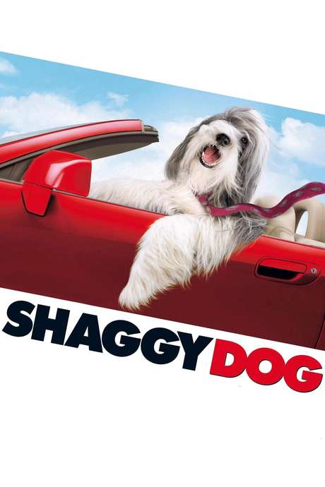 The Shaggy Dog (2006) directed by Brian Robbins • Reviews, film + cast