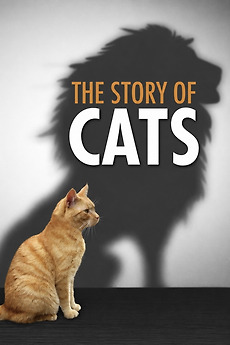 ‎The Story of Cats (2016) directed by Anwar Mamon • Reviews, film ...