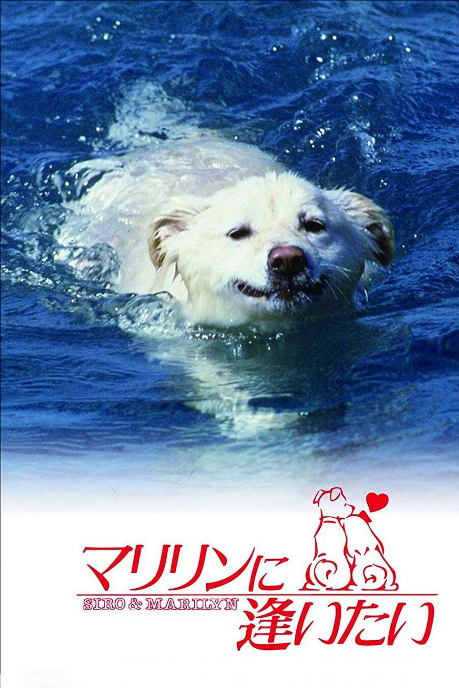 邦画・日本映画 Sammy J 6.0 size XS Shiro and Marilyn (1988) directed by Junichi Suzuki
