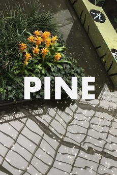 Pine