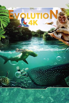 ‎Evolution 4K (2018) directed by Timo Joh. Mayer, Ekrem Engizek ...