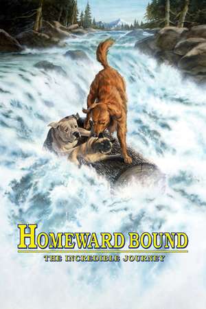 Homeward Bound