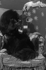 Films directed by Bruce Weber • Letterboxd