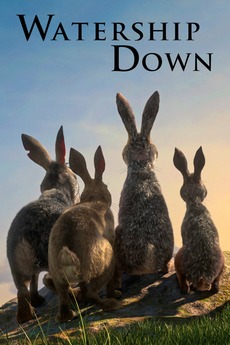 Echo And The Bunnymen Isn T That Just Watership Down On Repeat