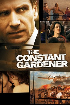 The constant gardener essay