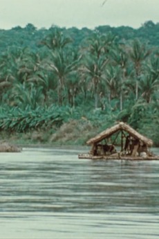 ‎The Raft (1970) directed by George Sluizer • Reviews, film + cast ...