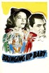 Bringing Up Baby poster