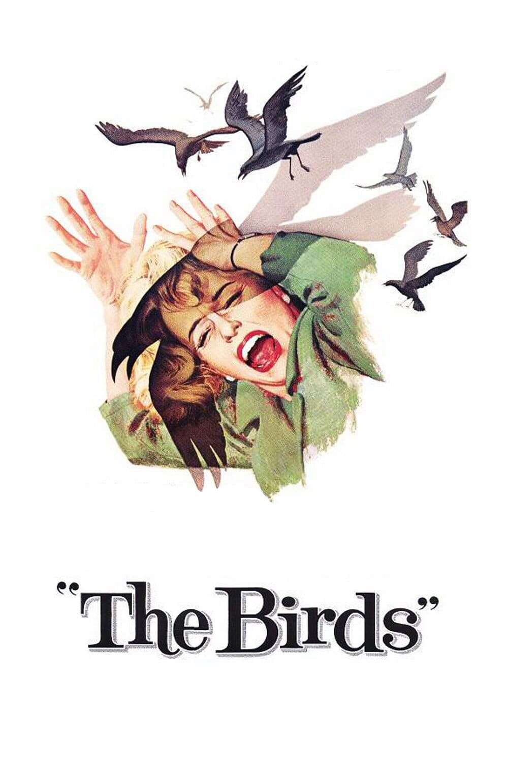 英語版　1976年発行　A closer Look at BIRDS File:Geese flying past the full moon (5759417842).jpg