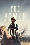 Poster for The Power of the Dog (2021)