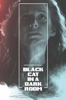 ‎Black Cat in a Dark Room (2019) directed by Leland Montgomery