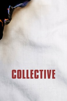 Collective Watched By Chico Fireman Letterboxd