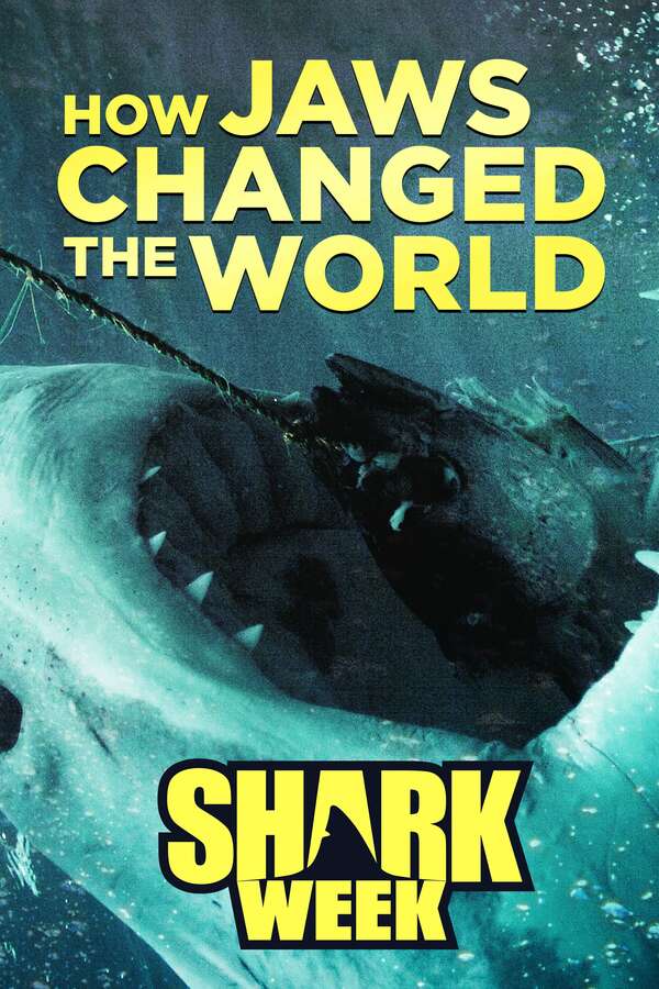 How 'Jaws' Changed the World