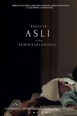 Commitment Aslı
