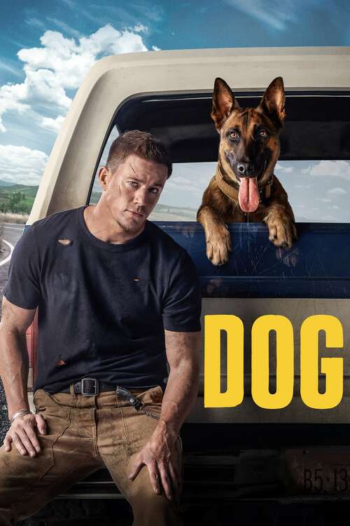 Cover Dog