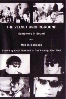 VELVET UNDERGROUND EARLY YEAR 1966 非売品 希少 The Velvet Underground Single 1966-69 - メルカリ