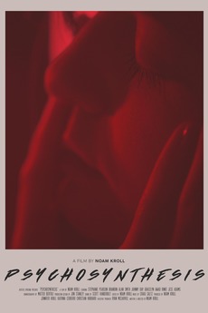 Psychosynthesis pdf picture