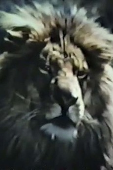 ‎The Veldt (1979) directed by Bernard Wilets • Reviews, film + cast ...