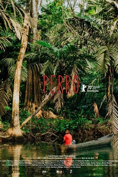 perro-2020-directed-by-lin-sternal-reviews-film-cast-letterboxd