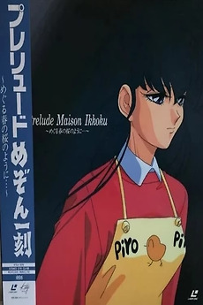 Get Wallpaper Prelude Maison Ikkoku When The Cherry Blossoms Return In The Free HD