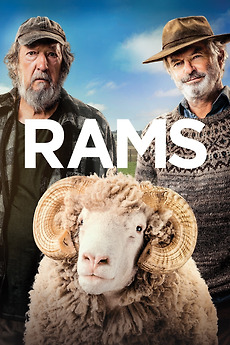 Rams 2020 Directed By Jeremy Sims Reviews Film Cast Letterboxd