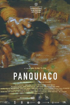 Panquiaco 2020 Directed By Ana Elena Tejera Reviews Film Cast Letterboxd