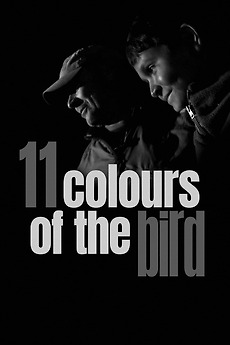 ‎11 Colours of the Bird (2020) directed by Vojtěch Kopecký • Reviews ...