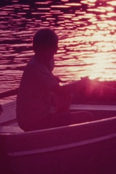 ‎Isolation (1974) directed by Abbott Meader • Reviews, film + cast ...