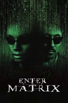 The Matrix Making Making 'Enter the Matrix' (2003) directed by Josh Oreck • Reviews ...