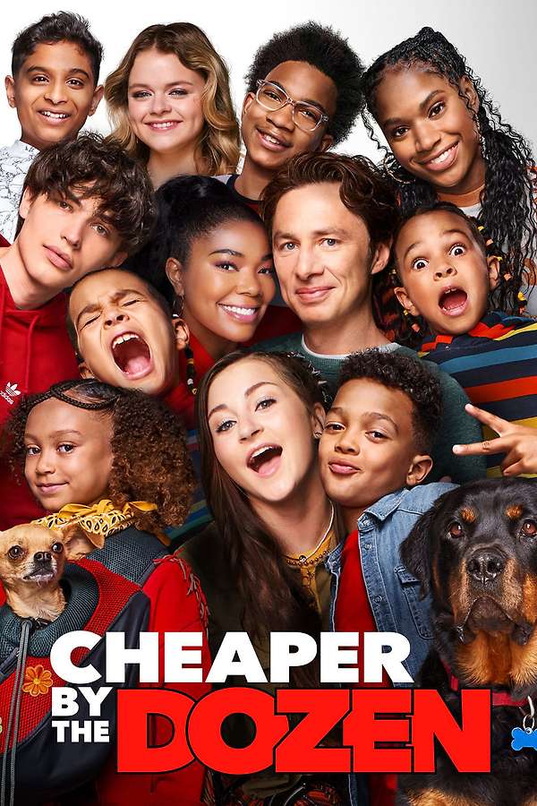 Cheaper by the Dozen poster