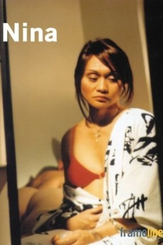 NINA COMPARISON 2003 visual data 3