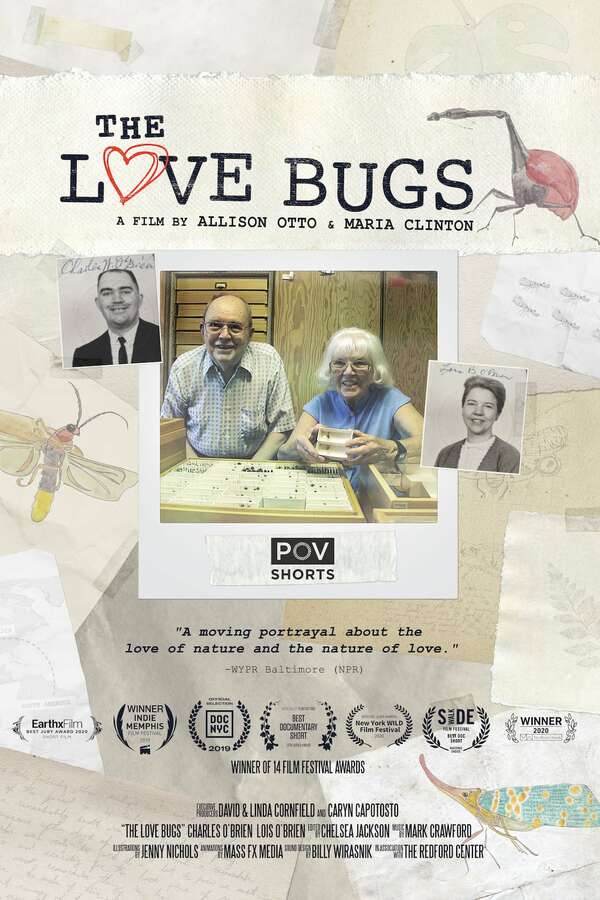 DOCUMENTARY of SO1 平間壮一 Love Bugs 619814-the-love-bugs-0-600-0-