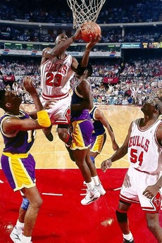 bulls 1991
