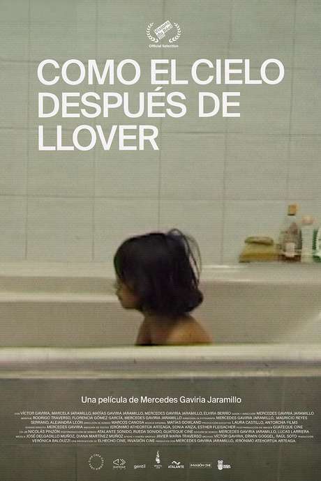 The Calm Beyond Film ‎The Calm After the Storm (2020) directed by Mercedes Gaviria • Reviews