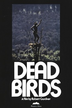 Dead Birds Film Dead Birds Film