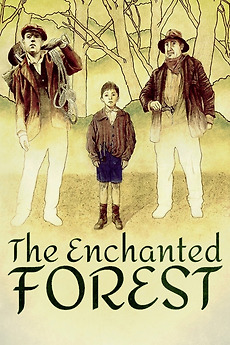 The Enchanted Forest