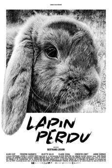 ‎Lost Rabbit (2019) directed by Bertrand Lissoir • Reviews, film + cast ...