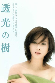Translucent Tree (2004) directed by Kichitaro Negishi • Reviews, film ...
